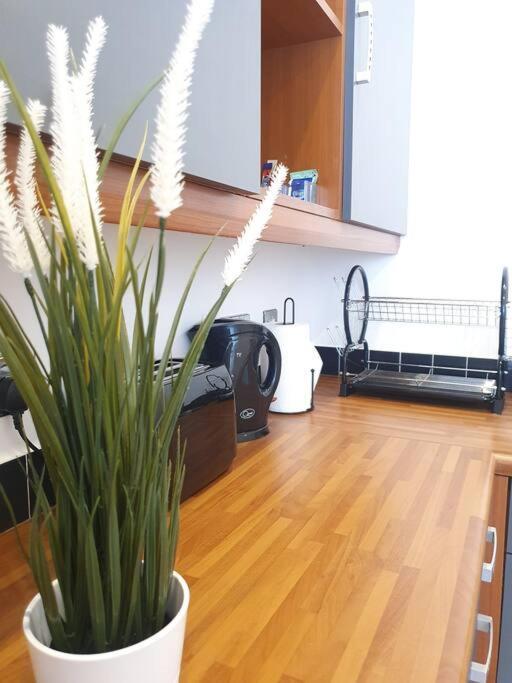 ברמינגהאם Contemporary Modern Studio Apartment - City Centre מראה חיצוני תמונה