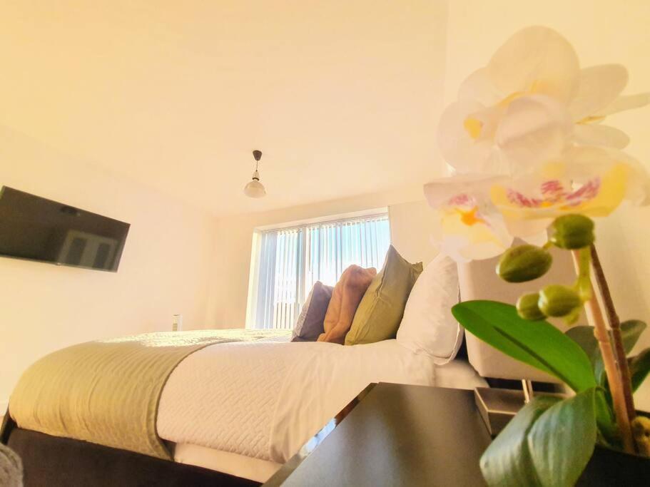 ברמינגהאם Contemporary Modern Studio Apartment - City Centre מראה חיצוני תמונה